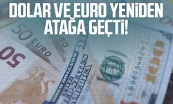 Dolar ve Euro yeniden atağa geçti!