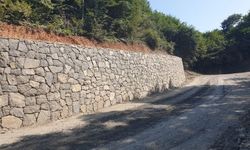 TAŞ İSTİNAT DUVARI VE ELEKTRİK HATTI YAPIM İŞİ