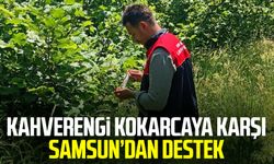 Kahverengi kokarcaya karşı Samsun’dan destek