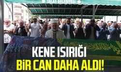 Kayseri'de kene can aldı! İlknur Ekinci hayatını kaybetti