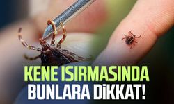 Kene ısırmasında bunlara dikkat!