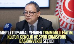 MHP’li Prof. Dr. İlyas Topsakal, yeniden komisyon başkanvekili seçildi