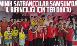 Minik satranççılar Samsun'da İl Birinciliği için ter döktü