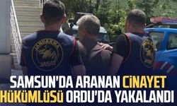 Samsun'da aranan cinayet hükümlüsü Ordu'da yakalandı