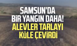 Samsun’da bir yangın daha! Alevler tarlayı küle çevirdi