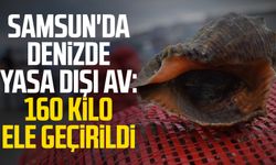 Samsun'da denizde yasa dışı av: 160 kilo ele geçirildi