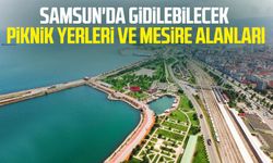 Samsun'da gidilebilecek piknik yerleri ve mesire alanları nereler?