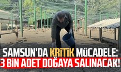 Samsun’da kritik mücadele: 3 bin adet doğaya salınacak!