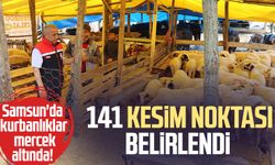 Samsun'da kurbanlıklar mercek altında: 141 kesim noktası belirlendi