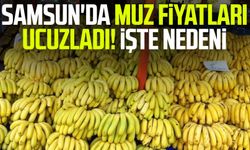 Samsun'da muz fiyatları ucuzladı! İşte nedeni
