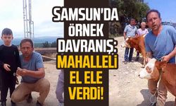Samsun'da örnek davranış: Mahalleli el ele verdi!