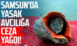 Samsun'da yasak avcılığa ceza yağdı!