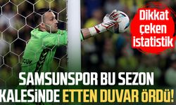 Samsunspor bu sezon kalesinde etten duvar ördü!