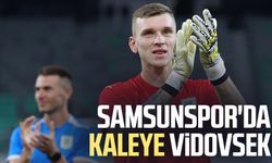 Samsunspor'da kaleye Vidovsek
