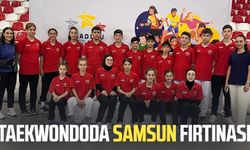 Taekwondoda Samsun fırtınası