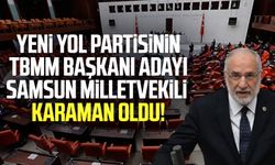 Yeni Yol Partisinin TBMM Başkanı adayı Samsun Milletvekili Mehmet Karaman oldu