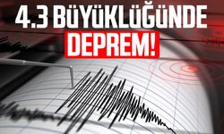 Karadeniz'de 4.3 büyüklüğünde deprem!