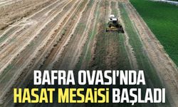 Bafra Ovası'nda hasat mesaisi başladı