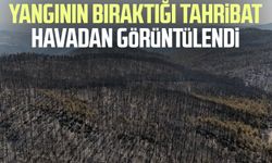 Yangının bıraktığı tahribat havadan görüntülendi