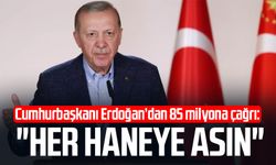Cumhurbaşkanı Erdoğan'dan 85 milyona çağrı: "Her haneye asın"