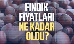 Fındık fiyatlarında son durum! 7 Temmuz Pazartesi