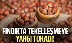 Fındıkta tekelleşmeye yargı tokadı! Mahkemeden karar çıktı