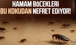 Hamam böcekleri bu kokudan nefret ediyor!