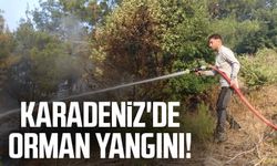 Karadeniz'de orman yangını!