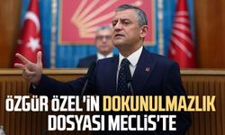 Ankara'da sıcak saatler! Özgür Özel'in dokunulmazlık dosyası Meclis'te
