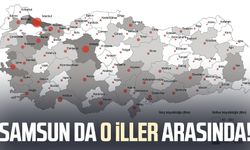 TÜİK verileri açıkladı: Samsun o iller arasında
