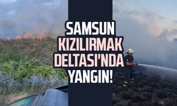 Samsun Kızılırmak Deltası'nda yangın paniği!