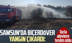 Samsun'da biçerdöver yangın çıkardı: Tarla alevlere teslim oldu