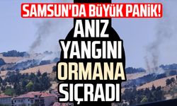 Samsun'da büyük panik! Anız yangını ormana sıçradı