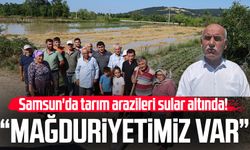 Samsun'da tarım arazileri sular altında! "Mağduriyetimiz var"