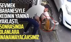 Aydın’da hayvana şiddet: Zanlı her yerde aranıyor