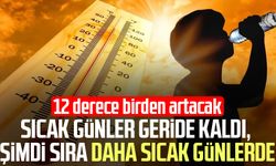 Türkiye'ye Afrika sıcakları geliyor!