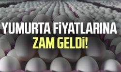 Yumurta fiyatlarına flaş zam!
