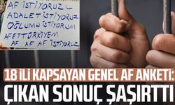 18 ili kapsayan genel af anketi: Çıkan sonuç şaşırttı