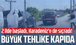 2 ilde başladı, Karadeniz'e de sıçradı! Büyük tehlike kapıda