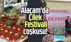 Alaçam'da Çilek Festivali coşkusu!
