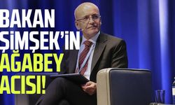 Bakan Şimşek'in ağabeyi Nazmi Şimşek hayatını kaybetti