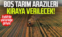Boş tarım arazileri kiraya verilecek! Eylül'de yürürlüğe giriyor