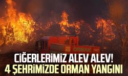 Ciğerlerimiz alev alev! 4 şehrimizde orman yangını