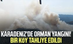 Karadeniz'de orman yangını! Bir köy tahliye edildi