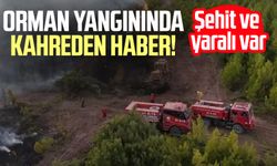 Orman yangınında kahreden haber! Şehit ve yaralı var