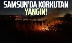 Samsun Alaçam'da korkutan yangın!