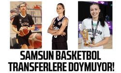 Samsun Basketbol transferlerle güçleniyor! Takıma 3 yeni isim