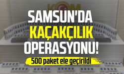 Samsun'da kaçakçılık operasyonu! 500 paket ele geçirildi