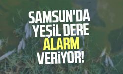 Samsun'da Yeşil Dere alarm veriyor!