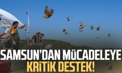 Samsun'dan keneyle mücadeleye kritik destek!